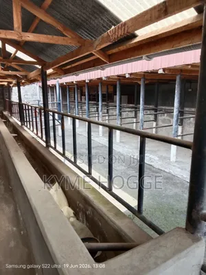 A Farm Property for Sale