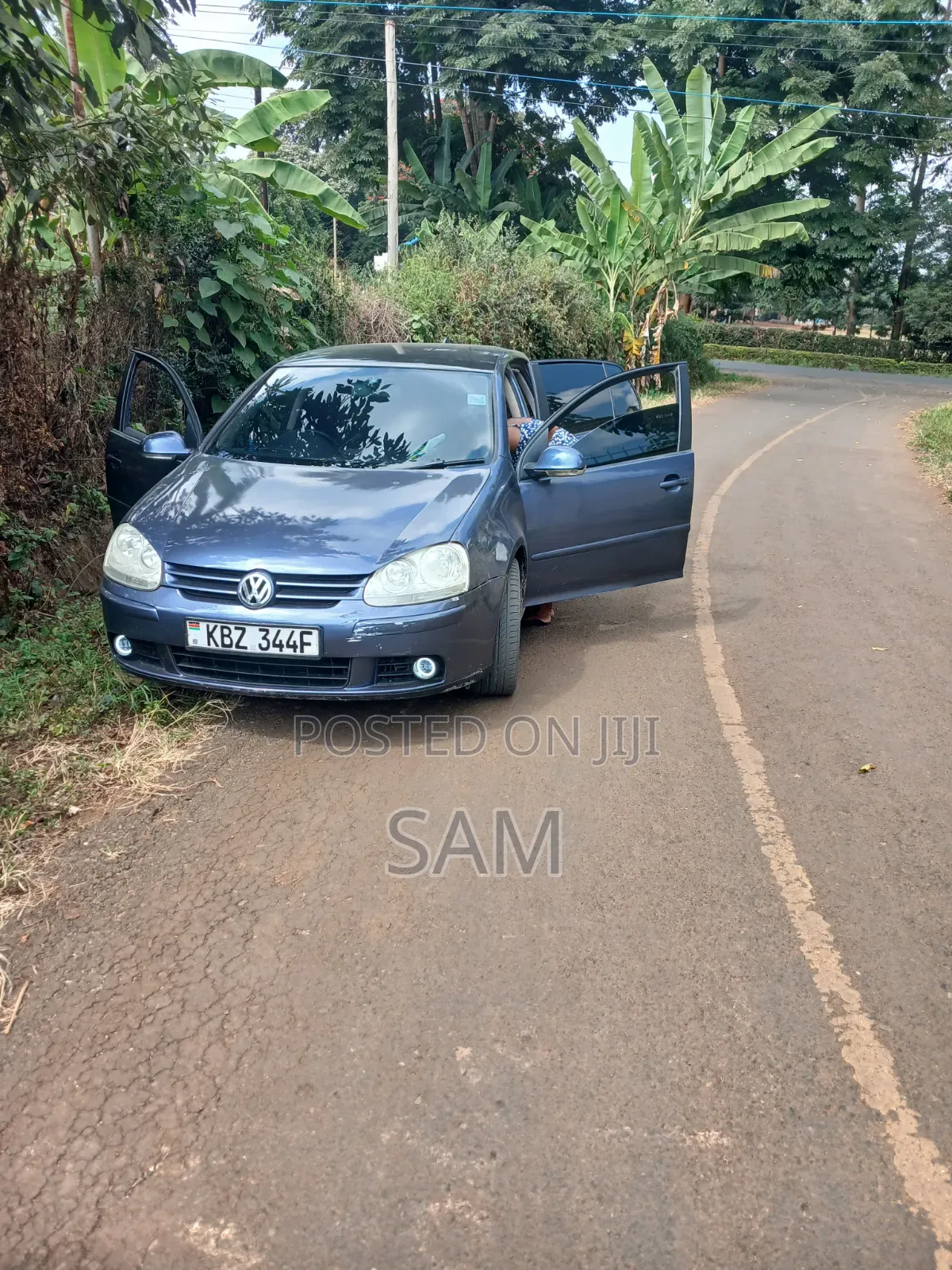 Volkswagen Golf 2007 Blue