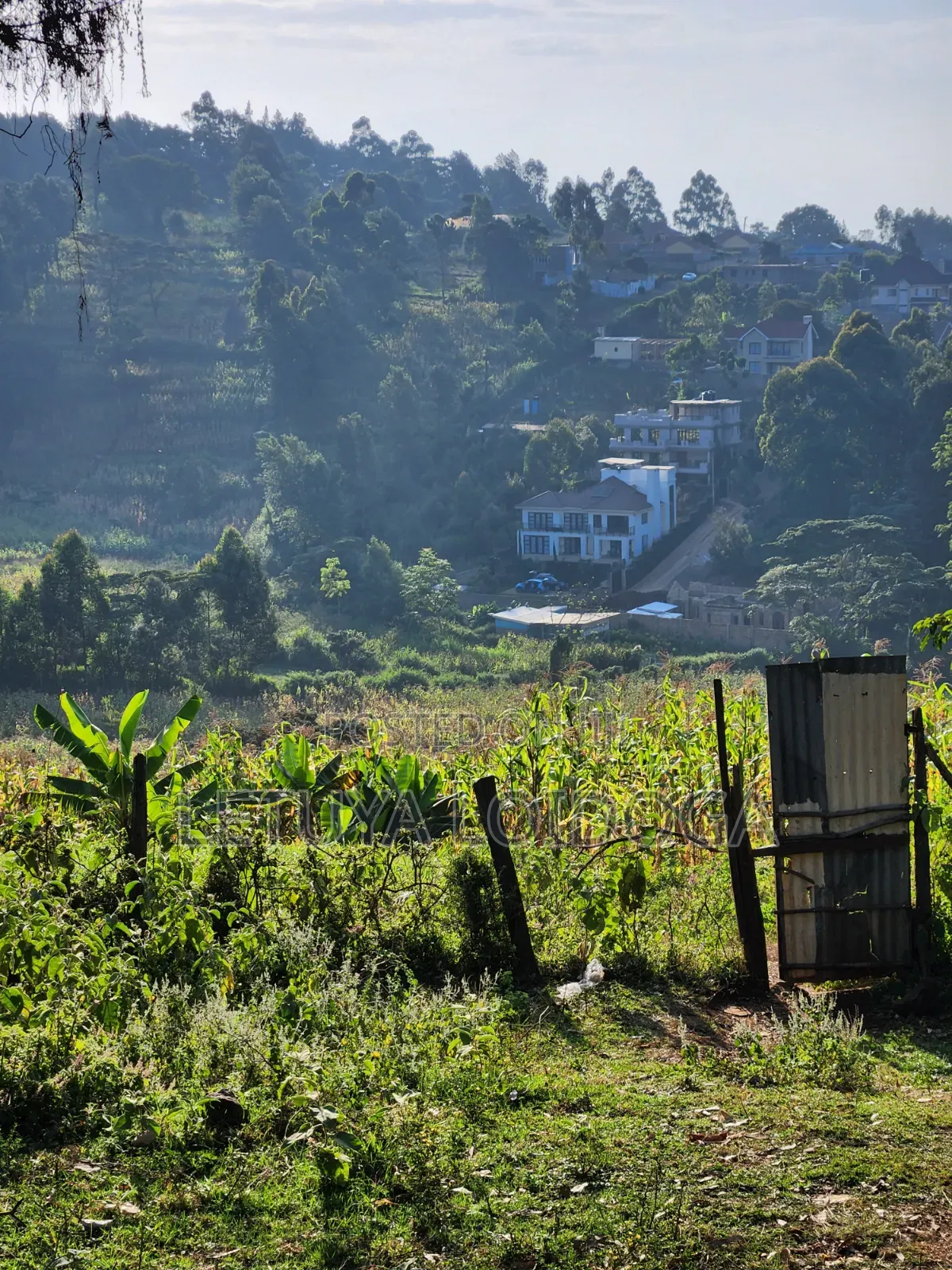 1⁄8 Acre Ngong ( Ngonghills Road)