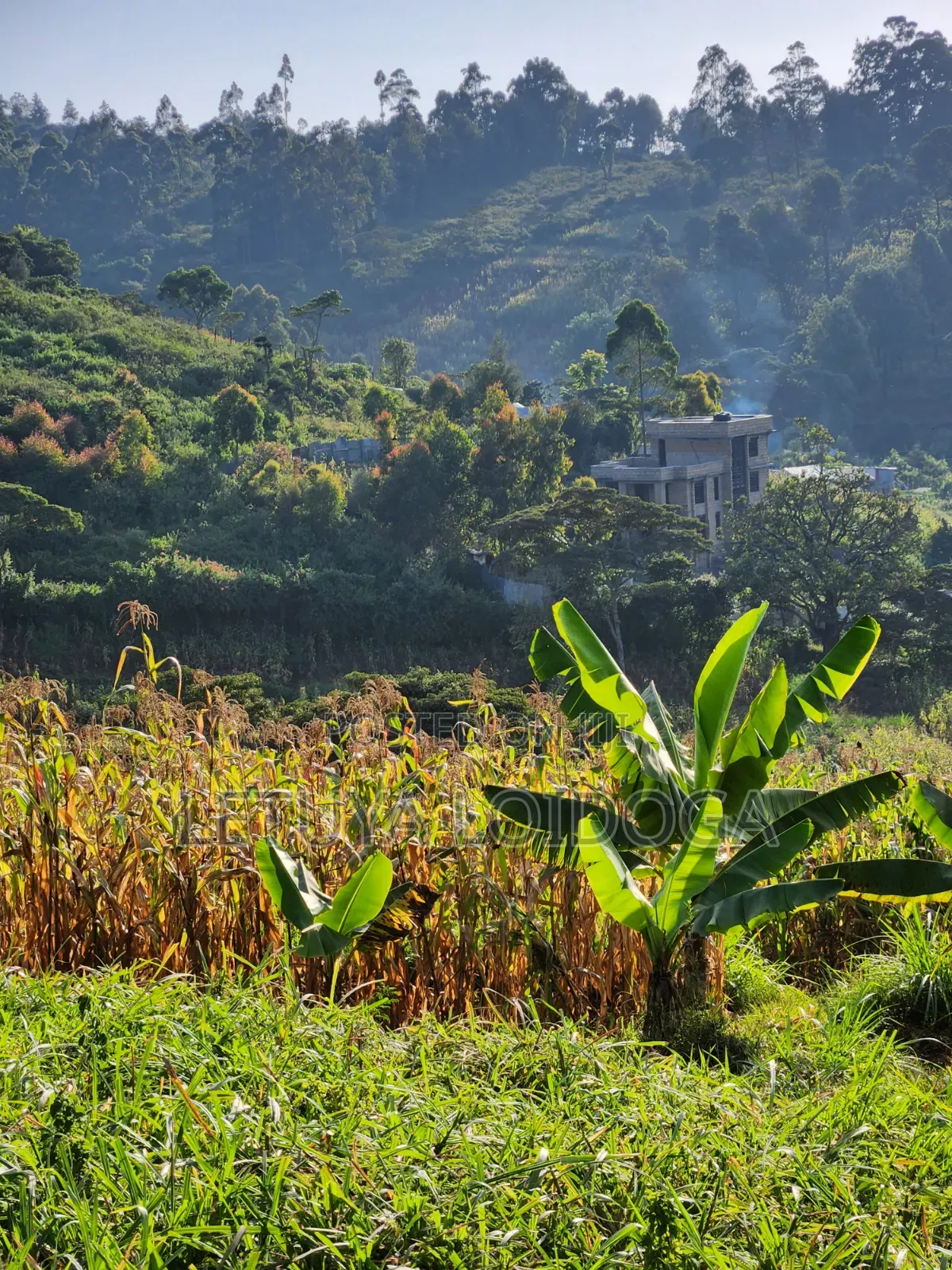 1⁄8 Acre Ngong ( Ngonghills Road)