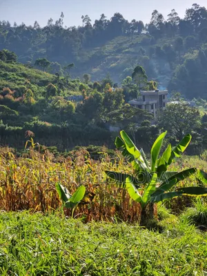 1⁄8 Acre Ngong ( Ngonghills Road)