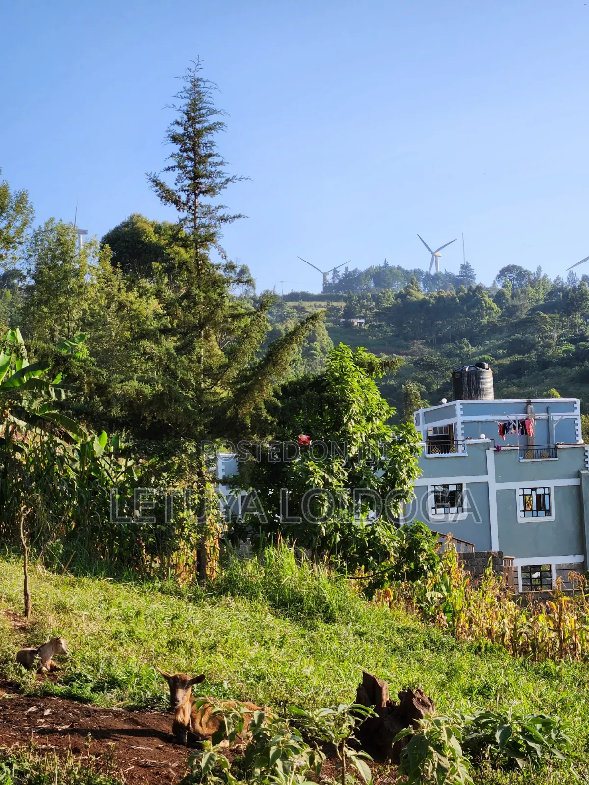 1⁄8 Acre Ngong ( Ngonghills Road)