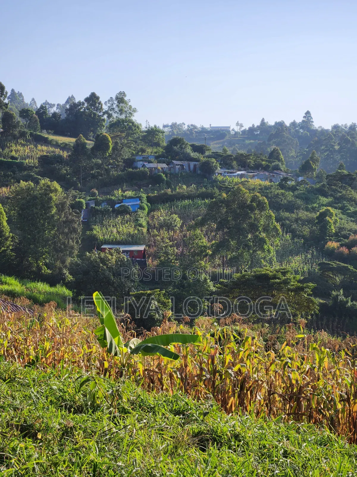 1⁄8 Acre Ngong ( Ngonghills Road)