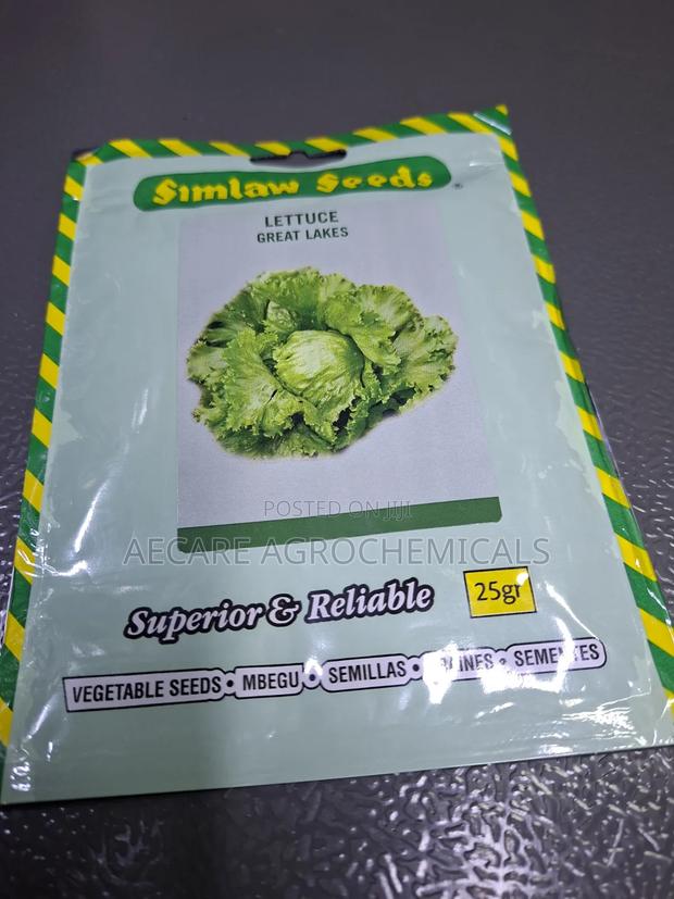 Lettuce Great Lakes 25g Seeds - main view