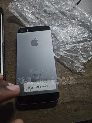 Apple iPhone 5s 16 GB Gray