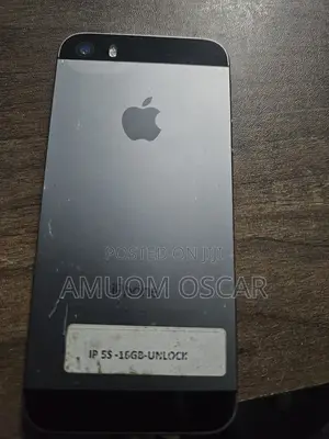 Apple iPhone 5s 16 GB Gray