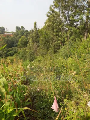 50*100 Plot for Sale