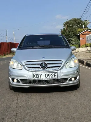 Mercedes-Benz B-Class 2007 Silver