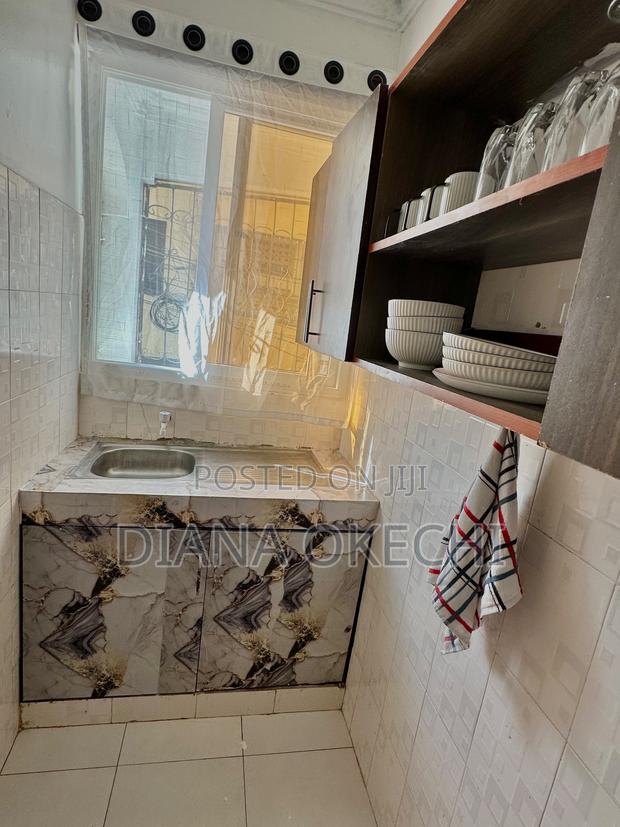 Furnished 1bdrm Apartment in Mtambo for rent - thumbnail 6