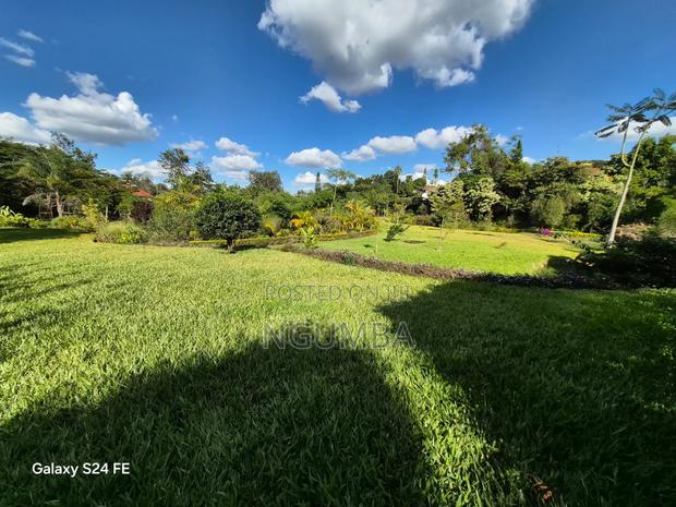 Coffee Farm for Lease - thumbnail 4