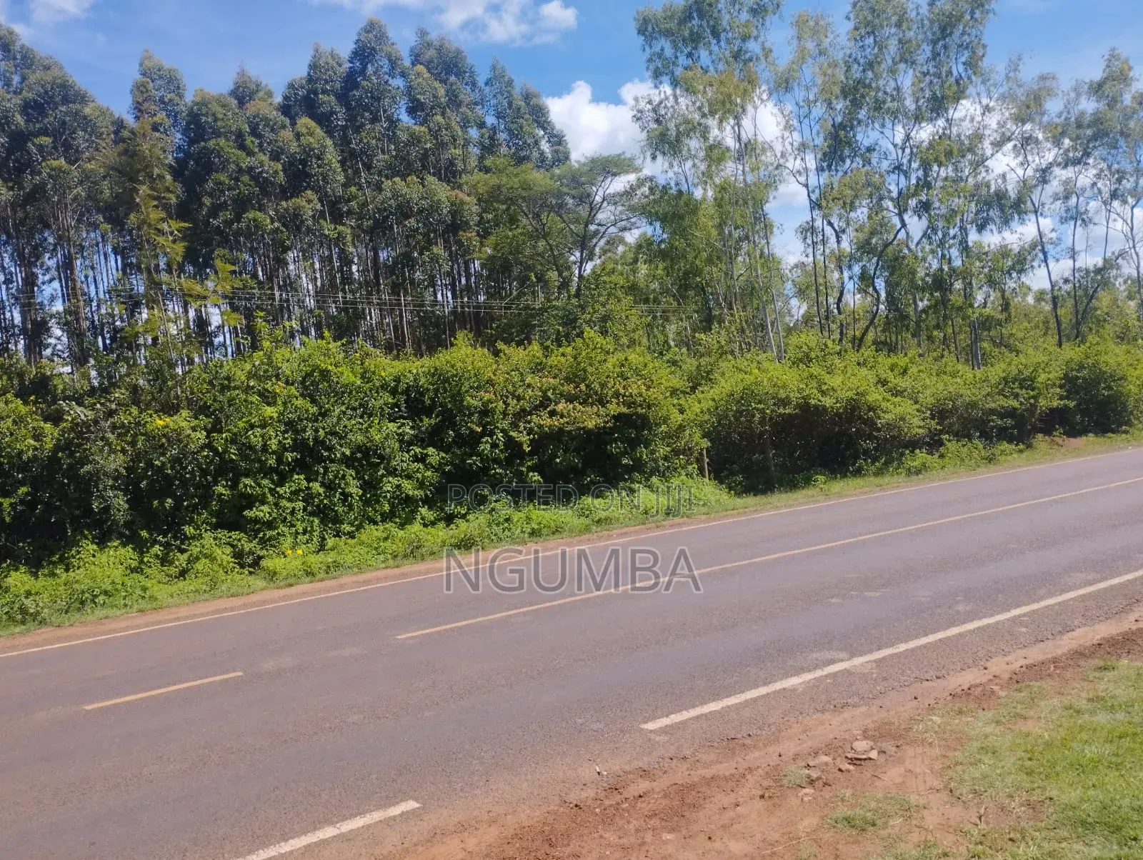 Coffee Farm for Lease