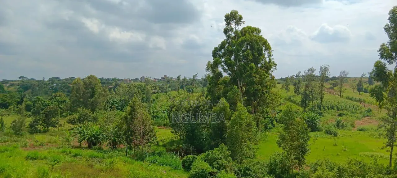 Coffee Farm for Lease