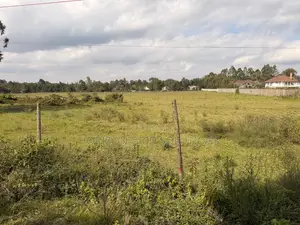 Marula Lane