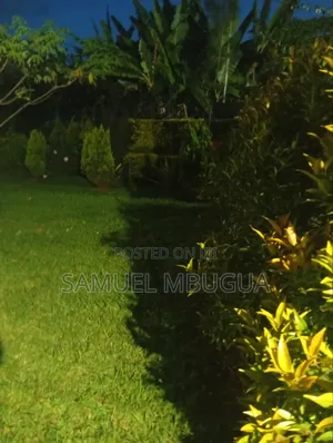2bdrm Bungalow in Karen for rent