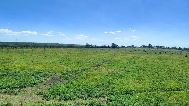 100 Acres Kipeto-Kajiado (Isinya-Kiserian Road) - thumbnail 4