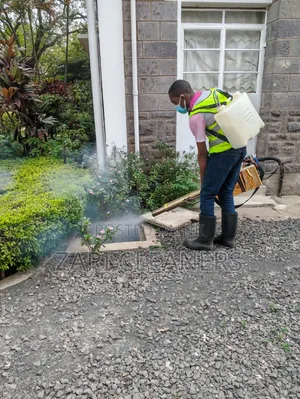 Cockroach Control - Safe Effective