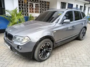 BMW X3 2009 Gray