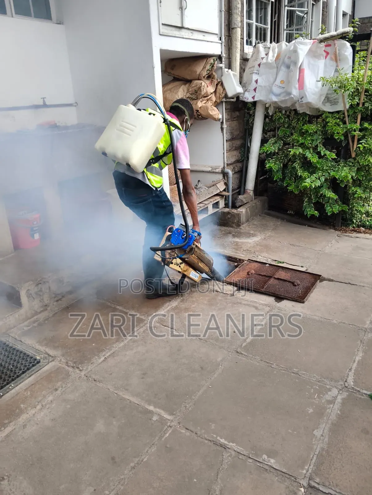 Cockroach  and Bedbugs Treatment