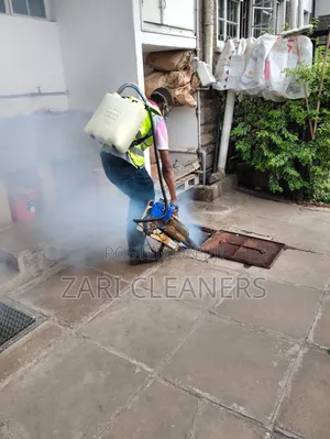 Cockroach  and Bedbugs Treatment