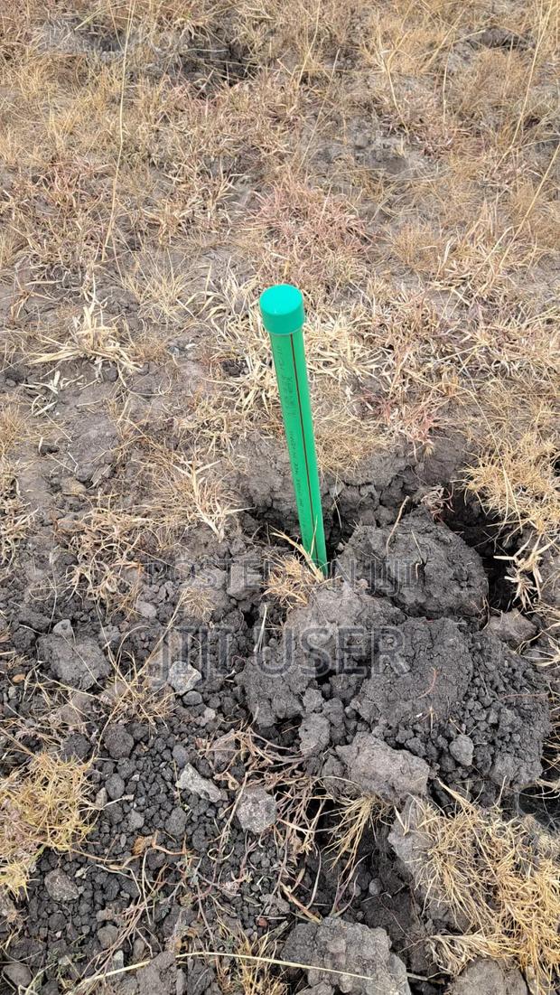 1/4 Acre Plot for Sale - thumbnail 2