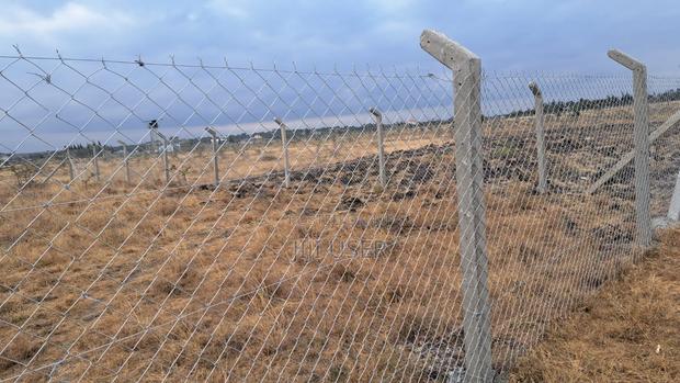 1/4 Acre Plot for Sale - thumbnail 3