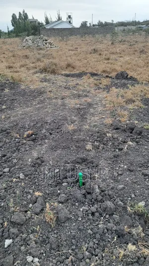 1/4 Acre Plot for Sale