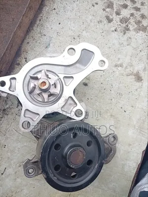 Water Pumps