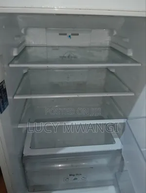 Samsung Fridge