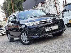 Toyota Corolla Fielder 2018 Black