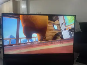 Television
