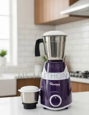Ramtons Mixer Grinder