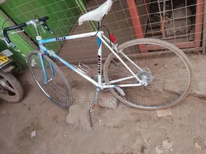 Vintage Road Bike