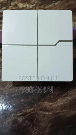 Home Fittings With Switches and Socket and Smart Switches