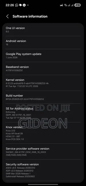 Samsung Galaxy A17 5G 256 GB Black