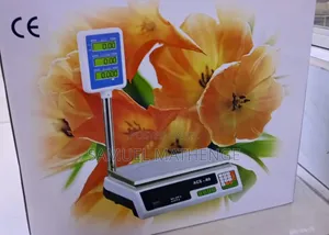 ACS-40 Electronic Weighing Scale 40kg Computing Scale With Arm