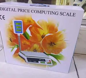 ACS-40 40kg Electronic Weighing Scale With Arm