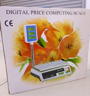 ACS 40 40kg Digital Price Computing Scale With Arm