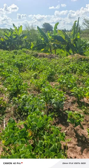 1acre at Kayatta