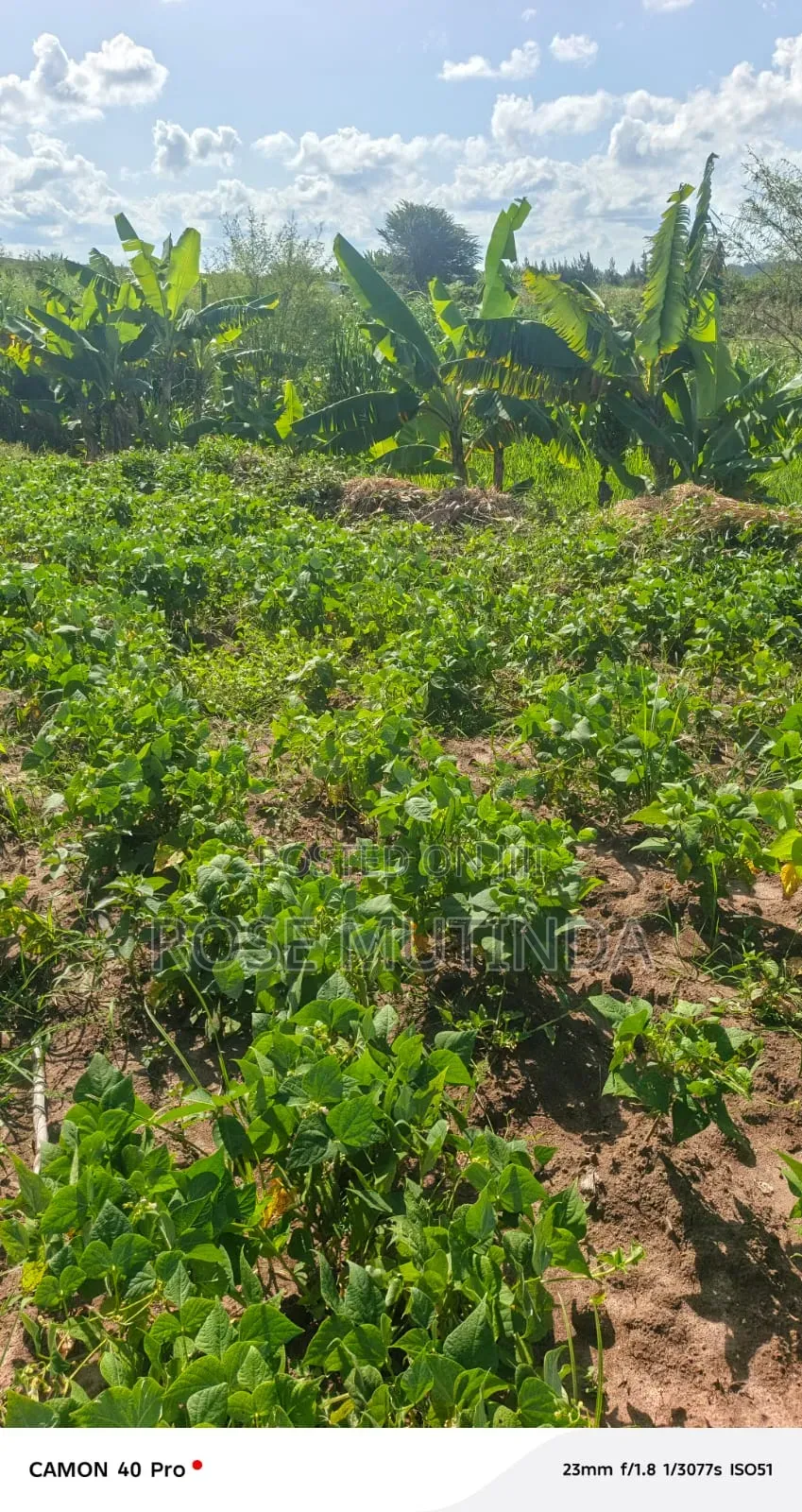1acre at Kayatta