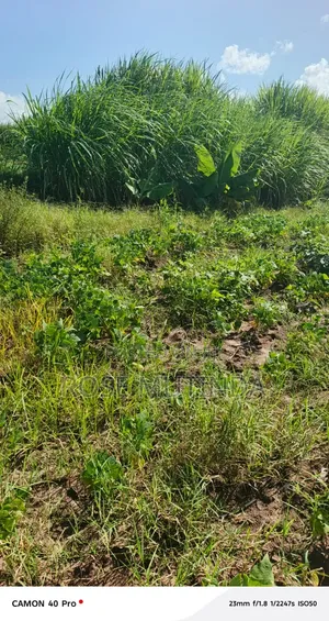 1acre at Kayatta
