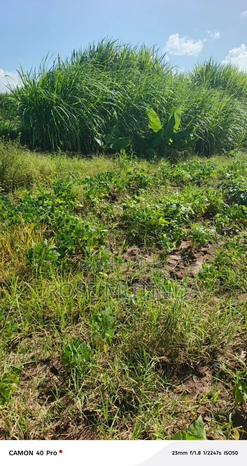 1acre at Kayatta