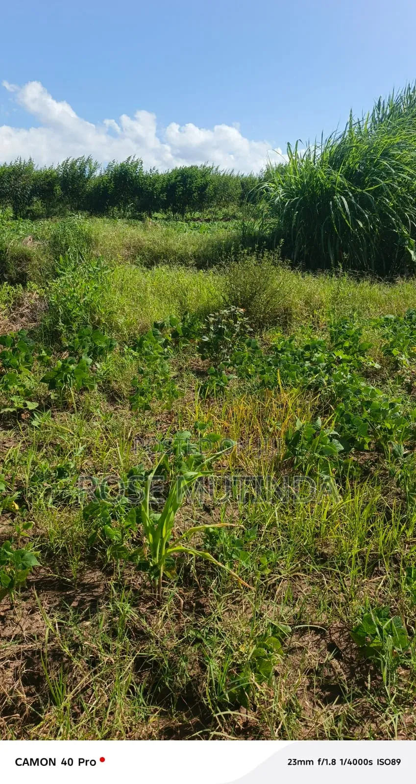 1acre at Kayatta