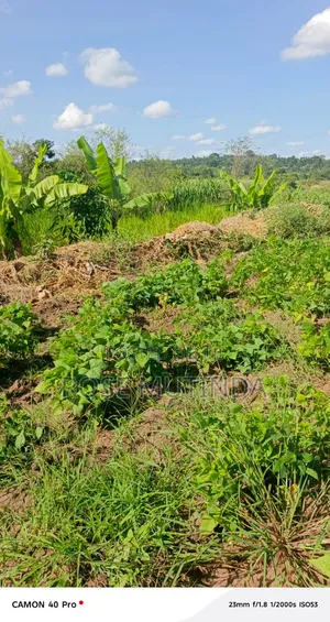 1acre at Kayatta