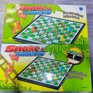 Magnetic Snake Ladders Board Game