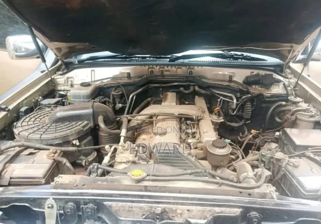 Toyota Land Cruiser 2000 Gold