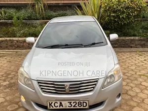 Toyota Premio 2009 Silver