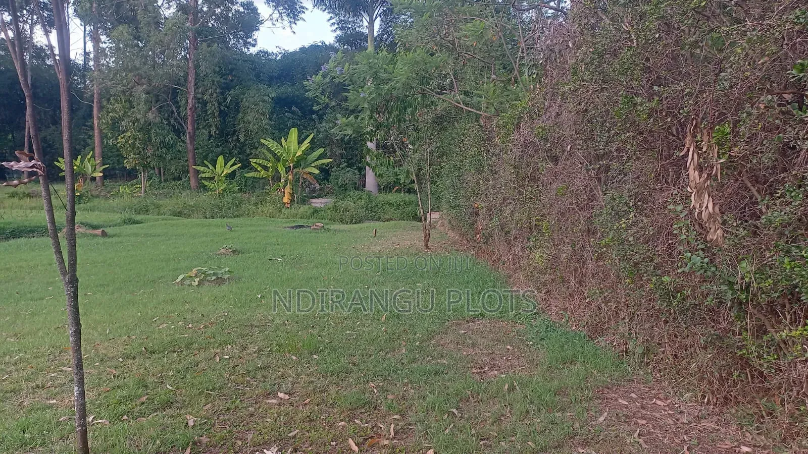 Prime Land in Muthaiga North