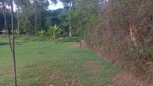 Prime Land in Muthaiga North