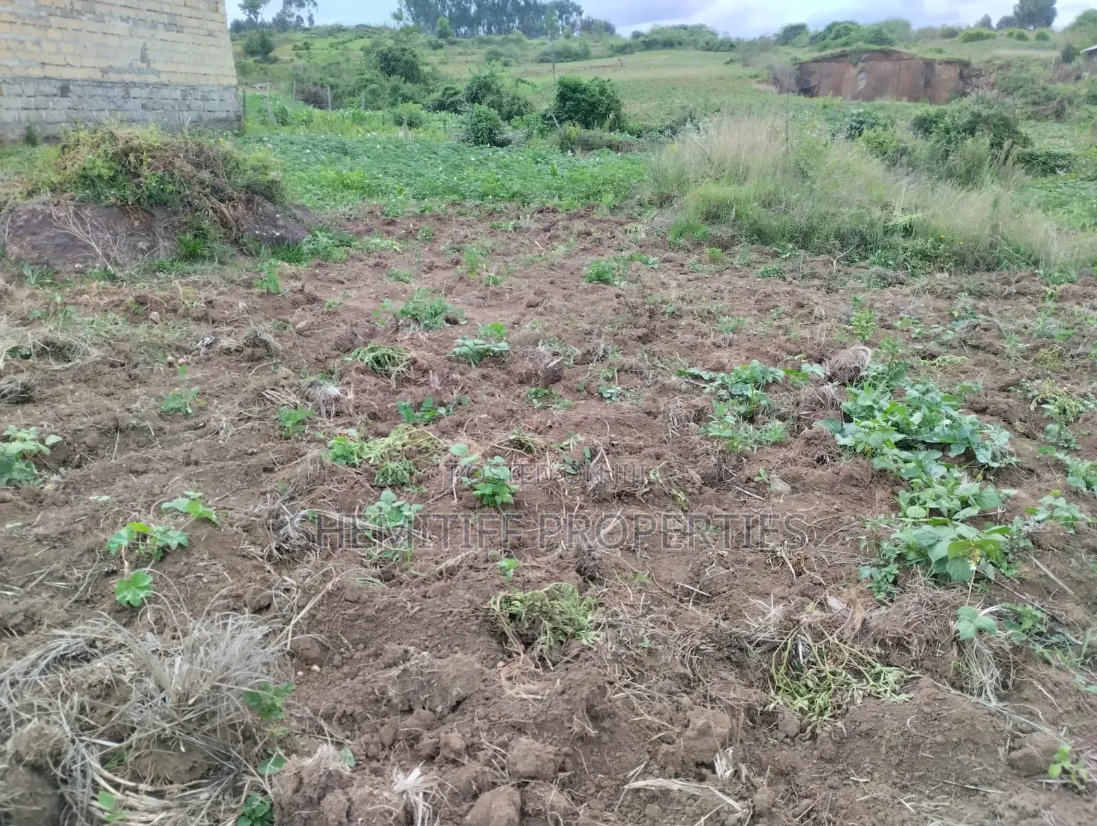 Genuine Clean 1/8 Plot Olkalou Town