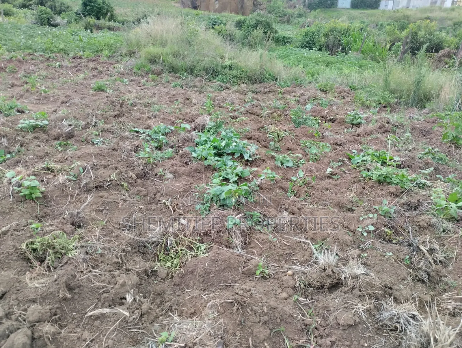 Genuine Clean 1/8 Plot Olkalou Town